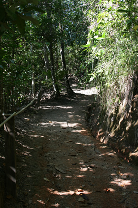 Walking track
